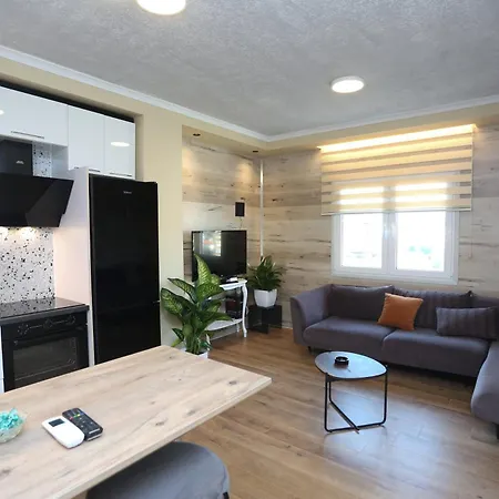 Apartment David Center