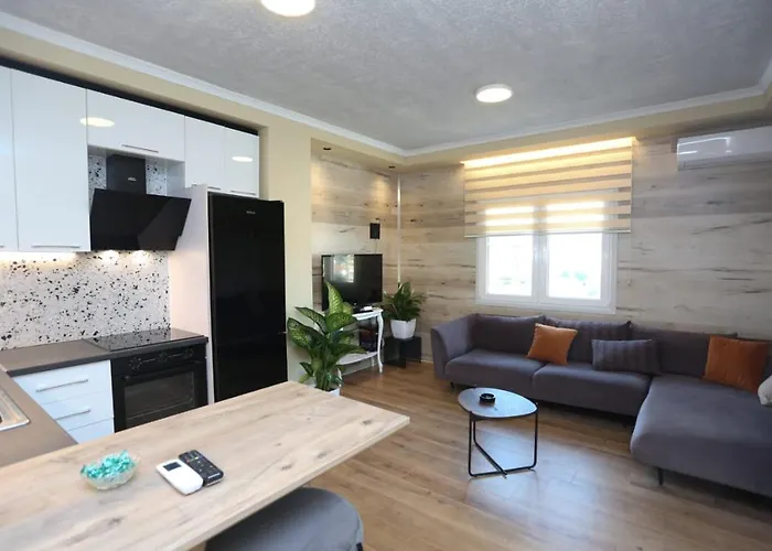 Apartmán David Center